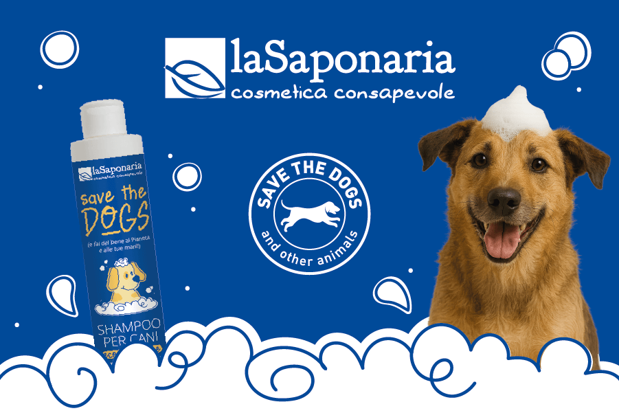 900x600 Percorso Donna Ambientata